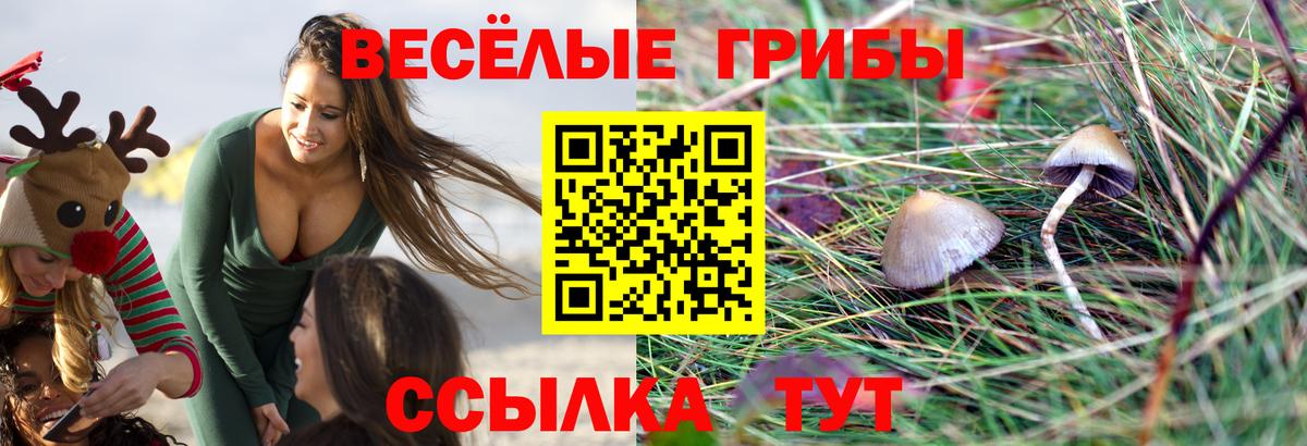Галлюциногенные грибы мухоморы  Вход с VPN  Северобайкальск 